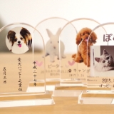 南大阪ペットセレモニー