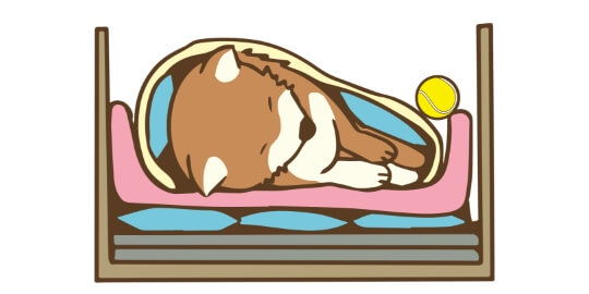 LINE対応可能ペット火葬フェリーチェ